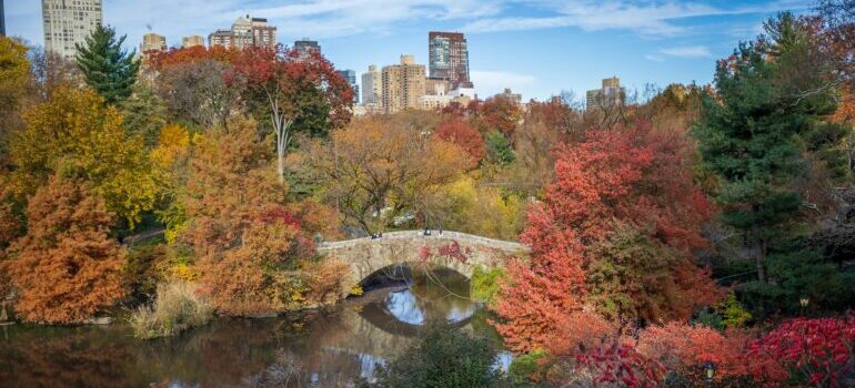 Autumn in the Manhattan is perfect time to make a long distance move to Manhattan 