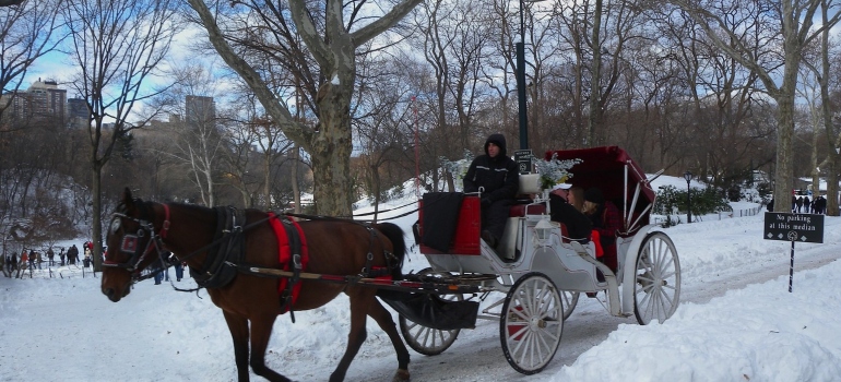 carriage ride on snow