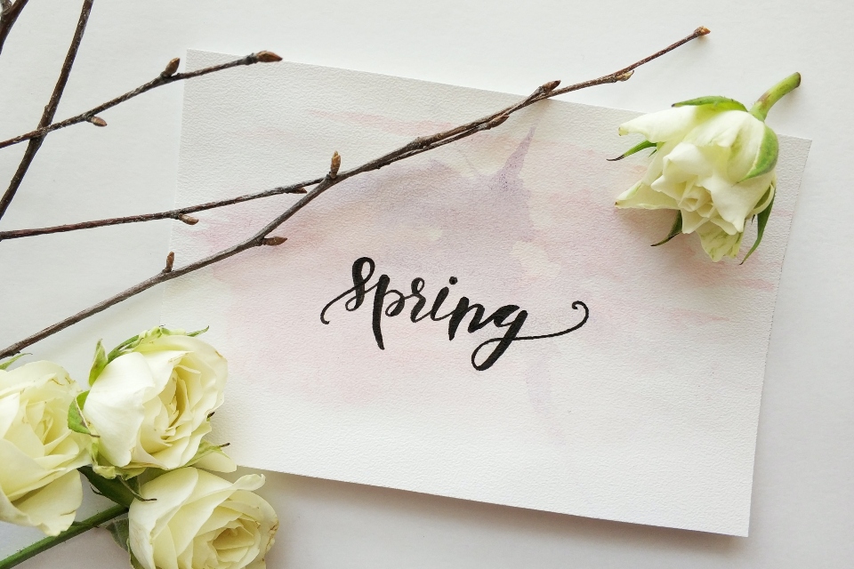 A paper that says spring symbolizing top things to do in NYC in spring 2023.