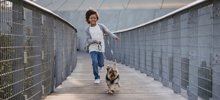 A boy running across a bridge with his dog